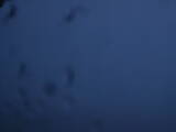 05 : 12