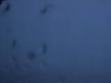 05 : 16