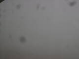 08 : 20