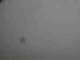 08 : 32