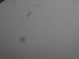 10 : 36