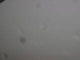 13 : 20