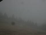 19 : 20