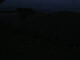 04 : 04