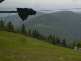12 : 24