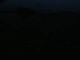 04 : 00