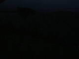 04 : 00