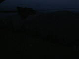 04 : 04