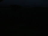 04 : 48