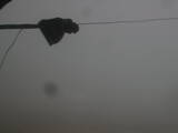 17 : 36