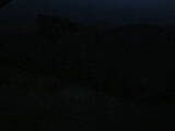 19 : 24