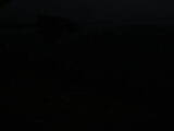 19 : 16