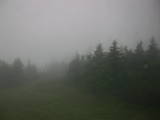 17 : 28