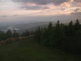 20 : 40