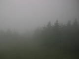 10 : 14