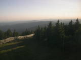 20 : 20