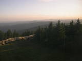 20 : 36