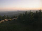 20 : 40