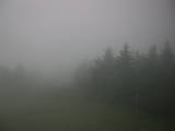 06 : 04