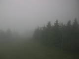 06 : 44