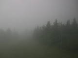 07 : 44