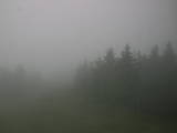 15 : 52