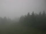15 : 56