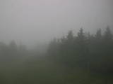 16 : 28