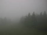 16 : 48