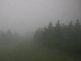 16 : 52