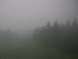 17 : 24