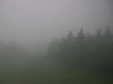 17 : 28
