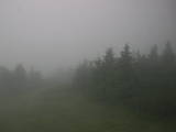 18 : 20