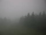 19 : 12