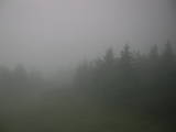 19 : 16