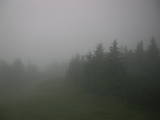 19 : 20