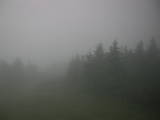 19 : 24