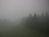 19 : 36
