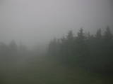19 : 44