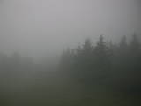 19 : 48