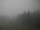 19 : 52