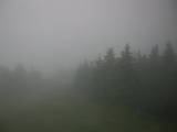 19 : 56