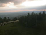 20 : 16