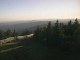 20 : 24