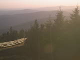 19 : 48