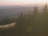 19 : 52