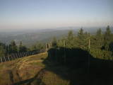 07 : 36