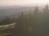19 : 16