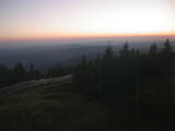 20 : 20