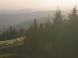 19 : 20